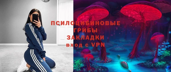 2c-b Нязепетровск