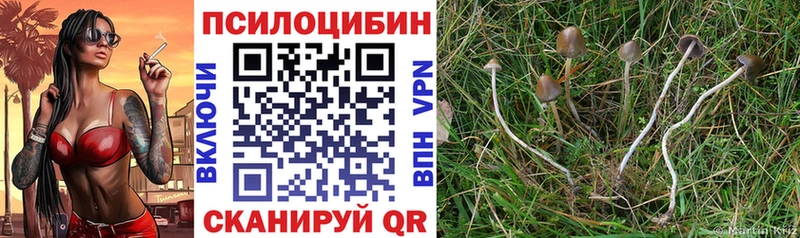 это какой сайт  ОМГ ОМГ tor  Сычёвка  Псилоцибиновые грибы MAGIC MUSHROOMS 